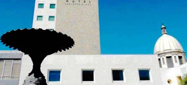 旧金山伊拉普阿托商务酒店(Hotel San Francisco Irapuato Business Class)图片