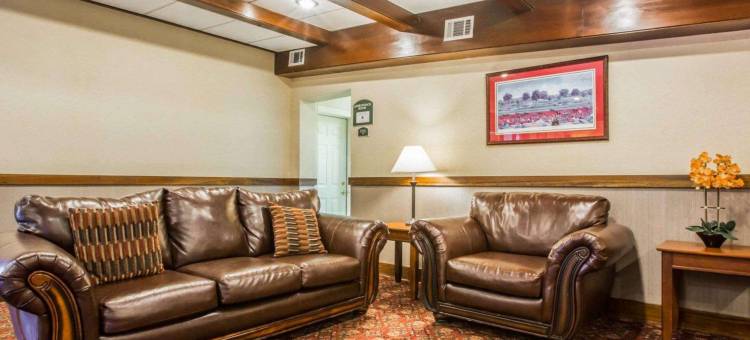 克拉丽奥套房酒店(乔治湖奥特莱斯)(Clarion Inn & Suites at the Outlets of Lake George)图片