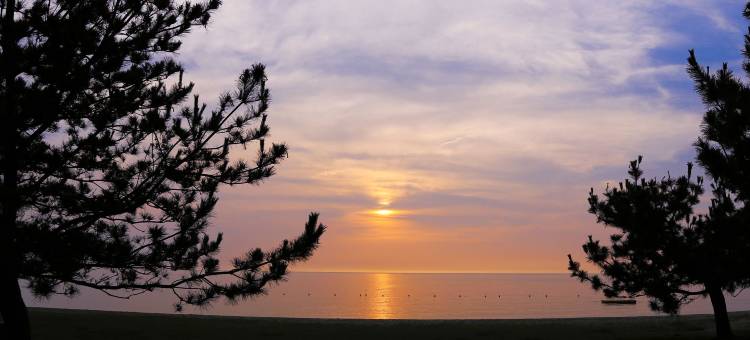 淡路滨离宫酒店(Awaji Hamarikyu)图片