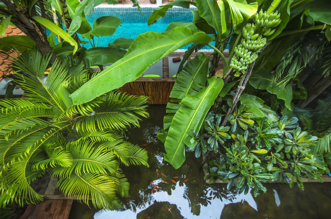 Sarina Boutique Hotel Hotel Rates And Room Booking Tripcom - 