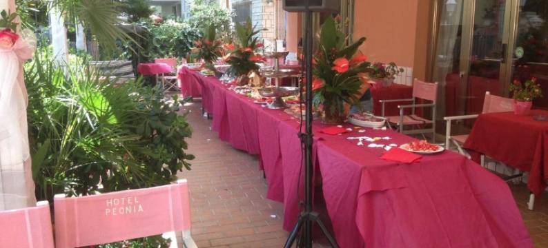 佩欧尼亚酒店(Hotel Peonia)图片