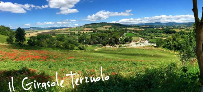 吉拉索莱特尔祖洛酒店(Il Girasole Terzuolo)图片
