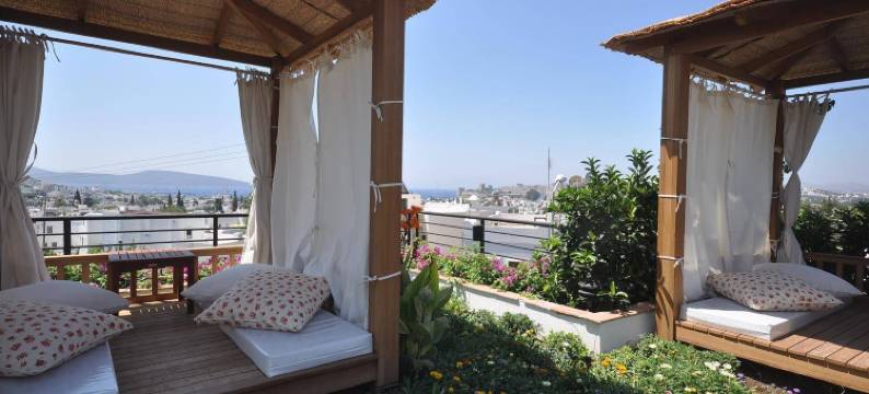 艾维诺酒店(El Vino Hotel & Suites)图片