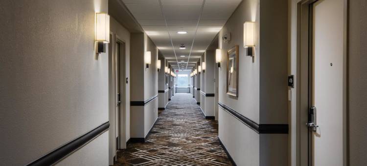 劳伦斯石头山酒店，温德姆Trademark精选(StoneHill Lawrence, Trademark Collection by Wyndham)图片