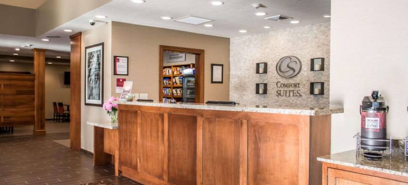 哈特维尔北坎顿舒适套房酒店(Comfort Suites Hartville-North Canton)图片