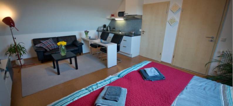 艾美龙住宿加早餐酒店(Bed and Breakfast Ammeloe)图片