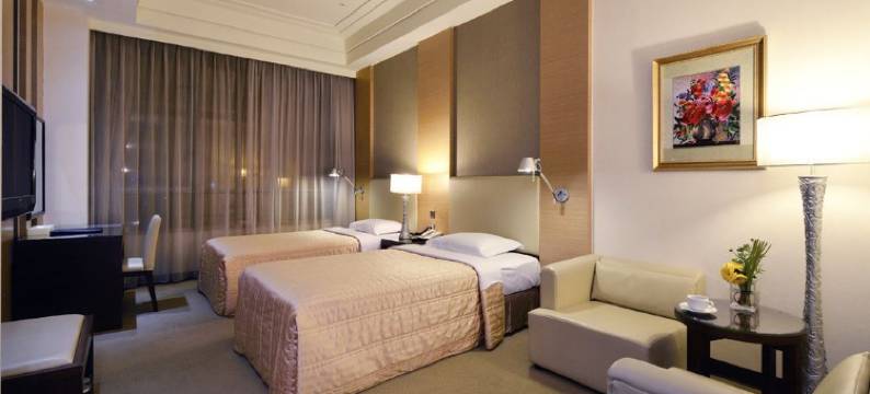 嘉义永悦商务大饭店图片