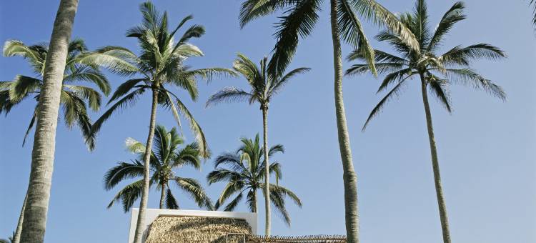 蒙特哥多阿苏卡酒店 - 设计酒店会员(Hotel Azucar, Monte Gordo, a Member of Design Hotels)图片