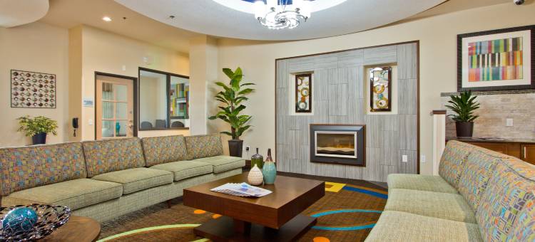 智选假日套房酒店丹佛芮(Holiday Inn Express & Suites Denver East-Peoria Street)图片