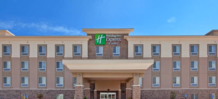 智选假日套房酒店托皮卡北(Holiday Inn Express & Suites Topeka North)图片