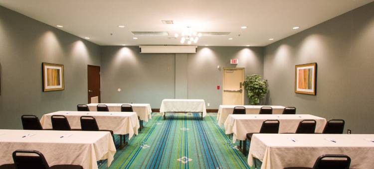 智选假日套房酒店纳科多奇斯(Holiday Inn Express & Suites Nacogdoches)图片