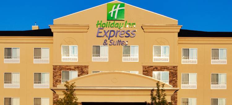 芝加哥北部-沃基根-格尼洲际智选假日套房酒店(Holiday Inn Express & Suites CHICAGO NORTH-WAUKEGAN-GURNEE by IHG)图片