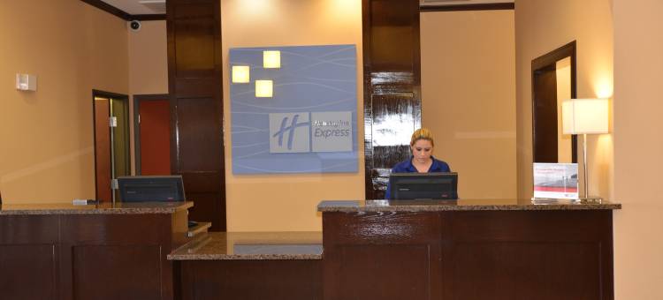 杜马智选假日酒店及套房(Holiday Inn Express & Suites Dumas)图片