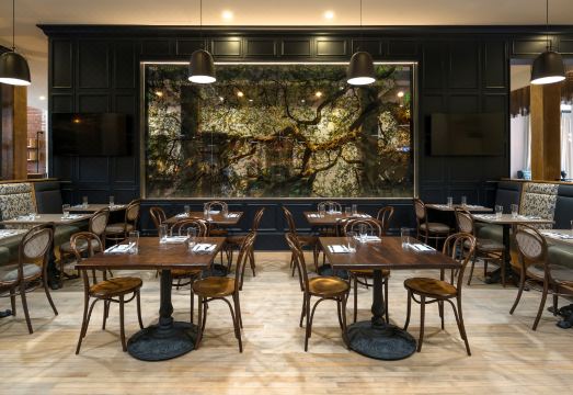 Hotel Indigo SAVANNAH HISTORIC DISTRICT by IHG Hotel Overview