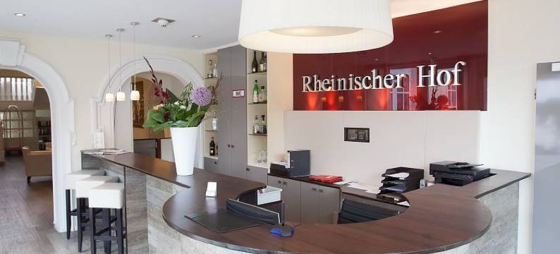 莱茵尼斯彻霍夫拜德索登酒店(Hotel Rheinischer Hof Bad Soden)图片