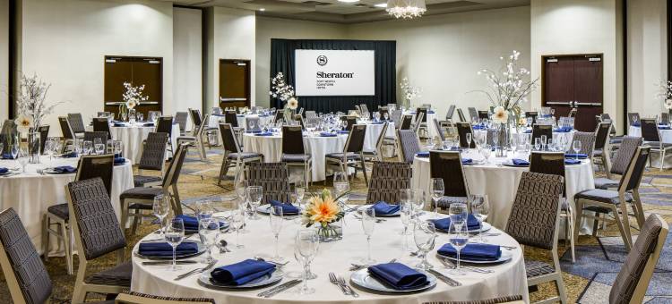 沃斯堡市中心喜来登酒店(Sheraton Fort Worth Downtown Hotel)图片