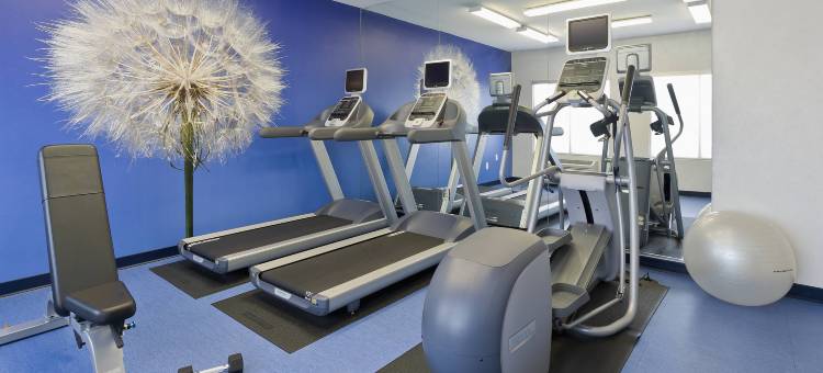 凤凰城北万豪SpringHill酒店(SpringHill Suites Phoenix North)图片