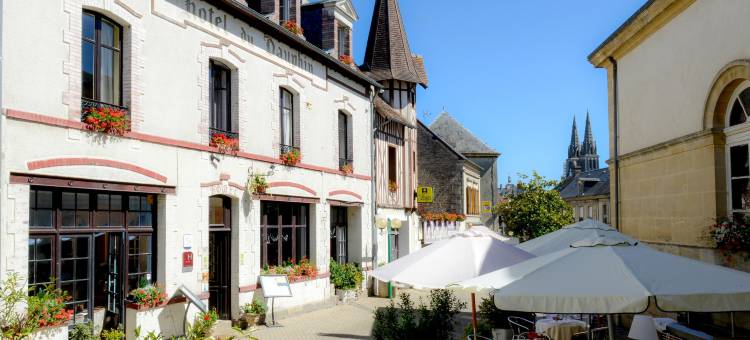 海豚酒店(Logis Hôtel et Restaurant du Dauphin)图片