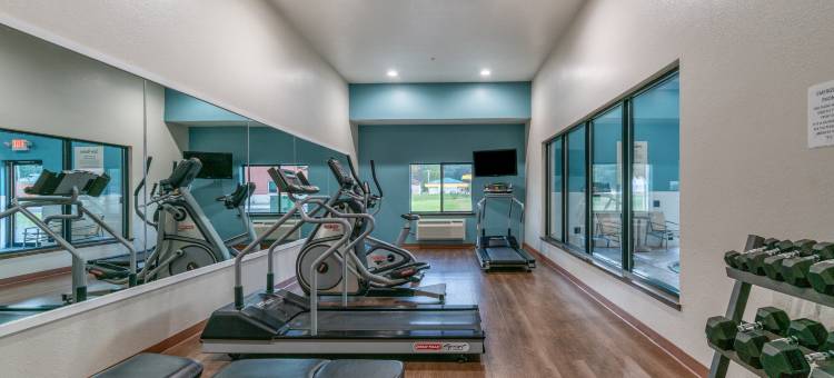 智选假日套房酒店埃尔金斯(Holiday Inn Express & Suites Elkins)图片