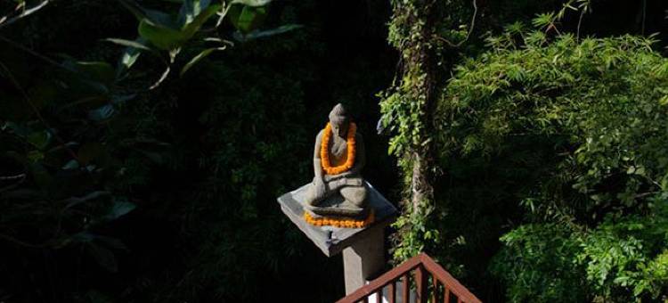Lumbung Sari Private Villa图片