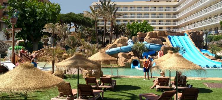 Hotel Evenia Olympic Park图片