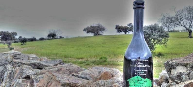 拉玛洛萨村舍酒店(Finca la Ramallosa)图片