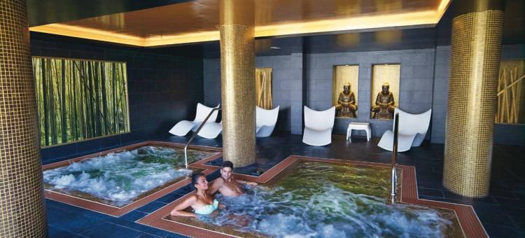 美罗尔拉斯里乌帕拉塞酒店(Hotel Riu Palace Meloneras)图片