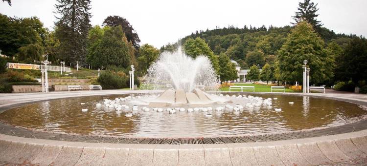 贝尔维德雷水疗健康酒店(Belvedere Wellness Hotel)图片