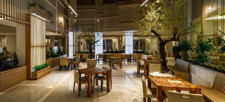 Carine公园酒店(Carine Hotel Park)图片