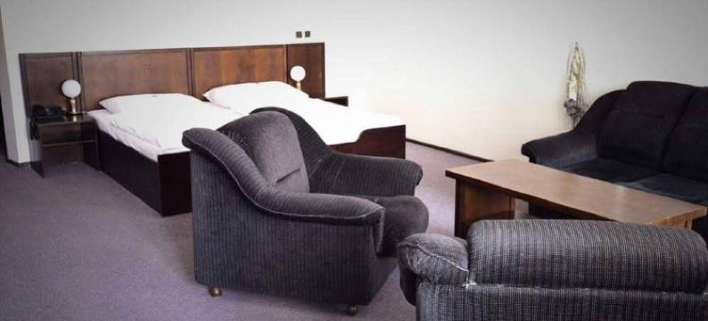 塞勒林酒店(Hotel Celerin)图片