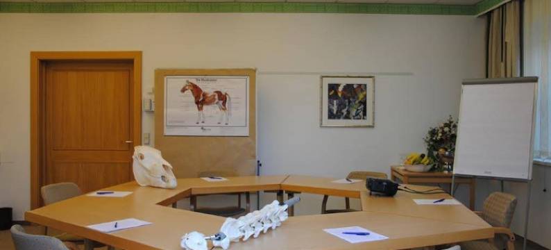 狄恩斯特尔古特酒店(Dienstl Gut)图片