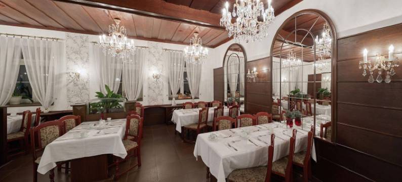 特鲁特诺夫亚当酒店(Hotel Adam Trutnov)图片