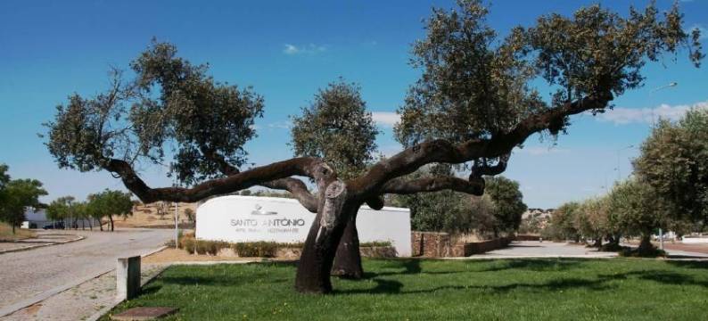 圣安东尼奥乡村酒店(Hotel Rural Santo Antonio)图片