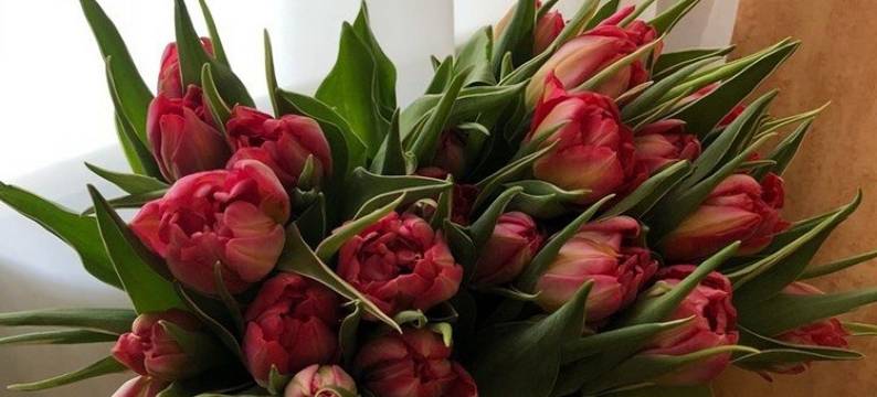 哥伦布酒店(Columb Hotel)图片