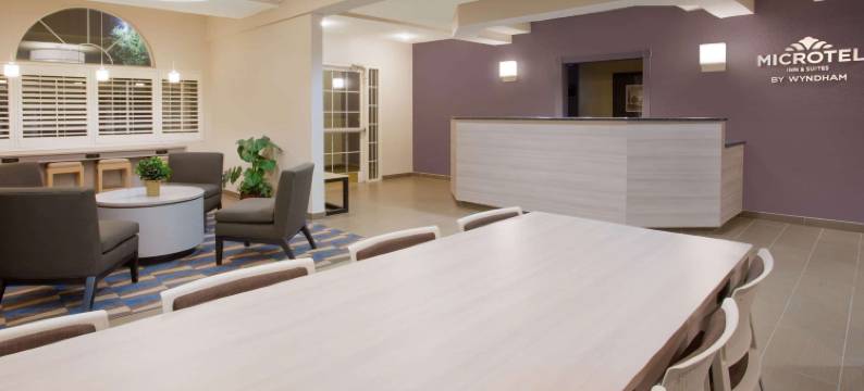 利物浦-多拉山麦客达套房酒店(Microtel Inn & Suites by Wyndham Leesburg/Mt Dora)图片