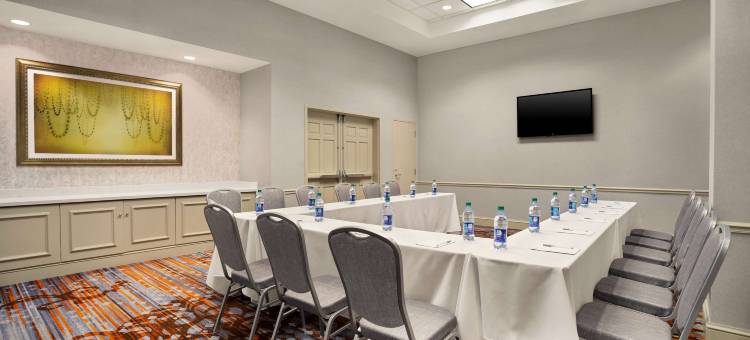 希尔顿花园酒店新奥尔良会议中心(Hilton Garden Inn New Orleans Convention Center)图片