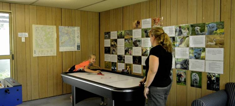 钻石林场农家乐(Diamond Forest Farm Stay)图片