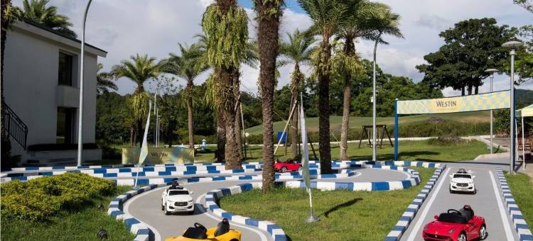 桃园大溪笠复威斯汀度假酒店图片