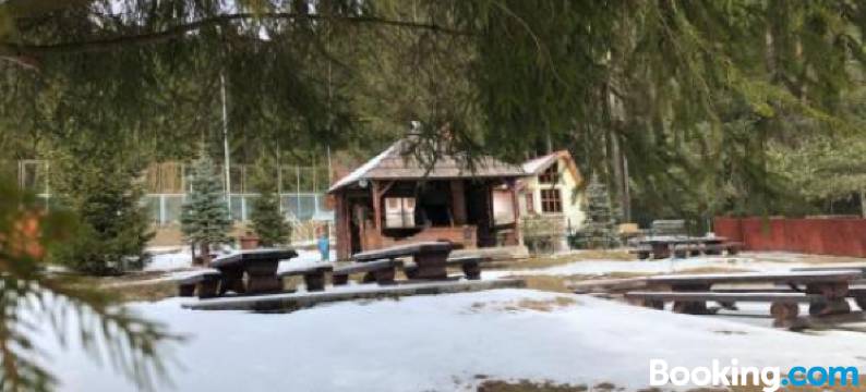 瓦纳特露旅馆(Pensiunea Vanatorul)图片