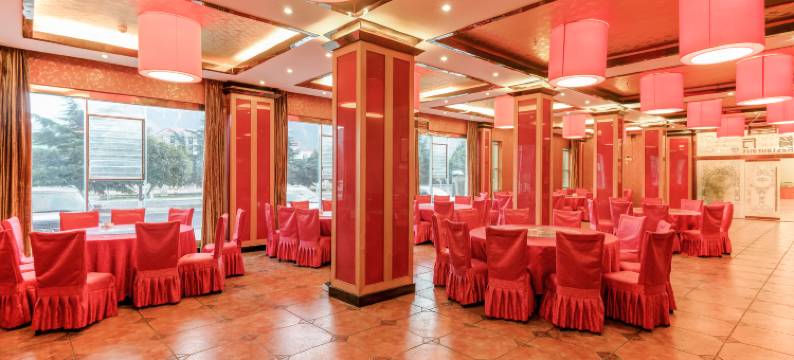 林芝泓天大酒店图片