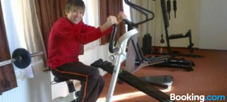 盖尔耶城堡酒店加餐厅(Györgyey Kastély Panzió és Étterem)图片