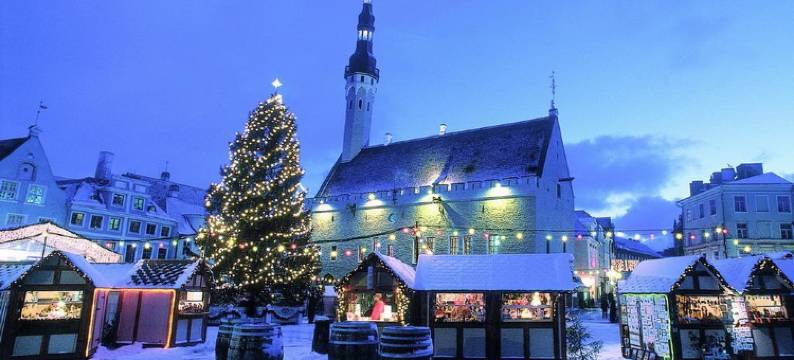 塔林商务公寓(Kaupmehe Tallinn Apartment)图片