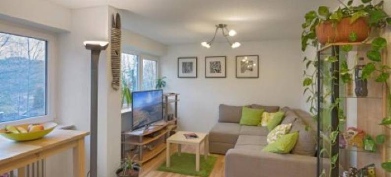 霍赫施瓦兹瓦德公寓(Hochschwarzwald Ferienwohnung)图片