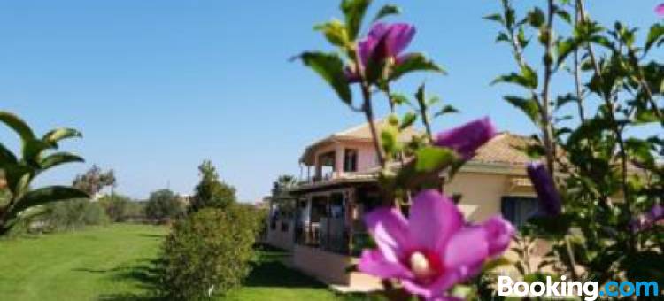 埃瓦吉利亚一室公寓(Evaggelia Studios)图片