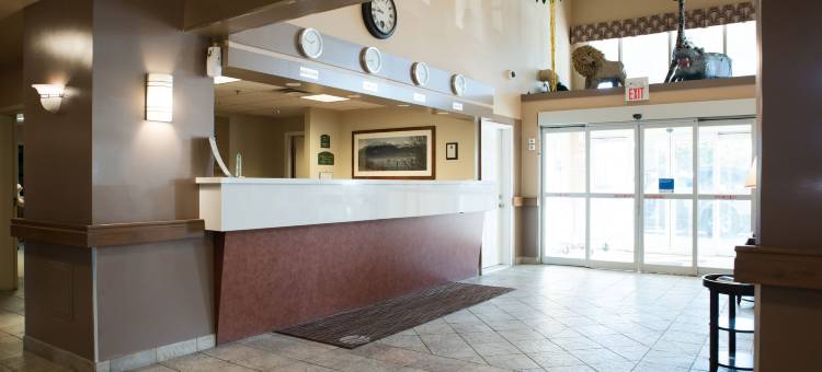 兰利舒适酒店(Comfort Inn & Suites)图片