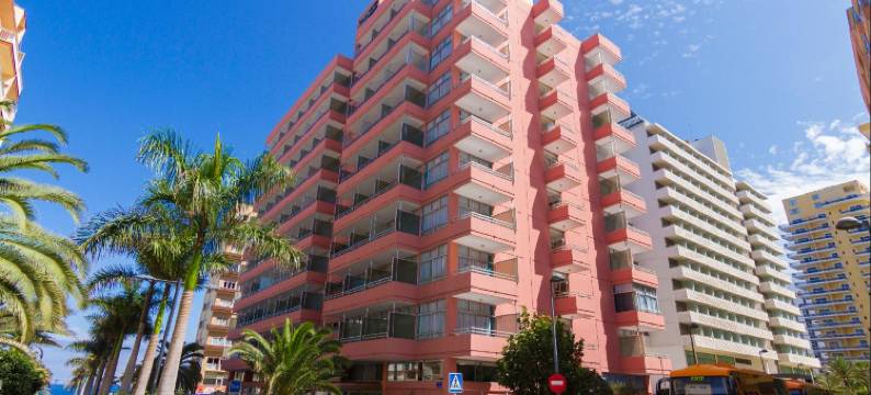 康科迪亚普拉亚4高级切克因酒店(Checkin Concordia Playa)图片