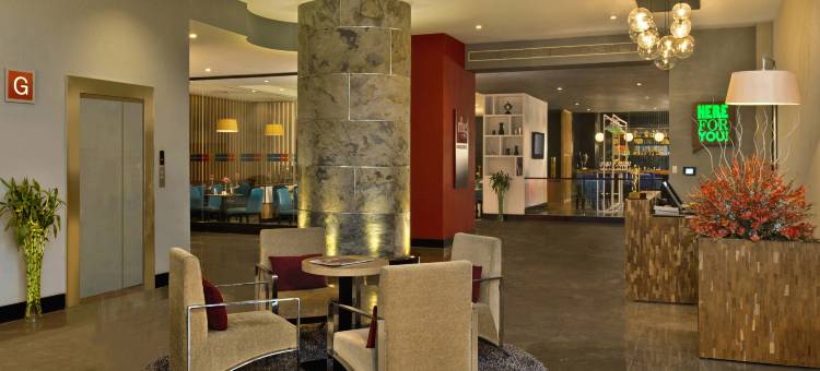 新德里 IP 扩展区丽柏酒店(Park Inn by Radisson New Delhi IP Extension)图片