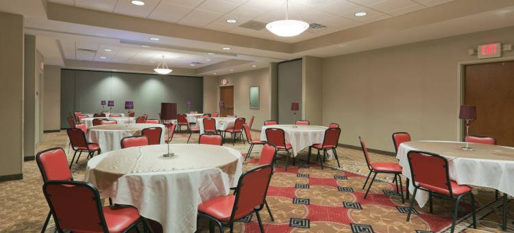 Holiday Inn 代尔 - 会议中心(Holiday Inn Carbondale-Conference Center)图片