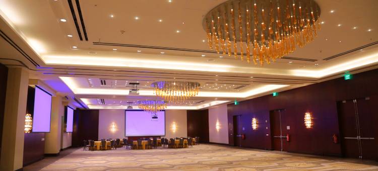 圣多明戈里尔洲际酒店(InterContinental Hotels Real Santo Domingo)图片