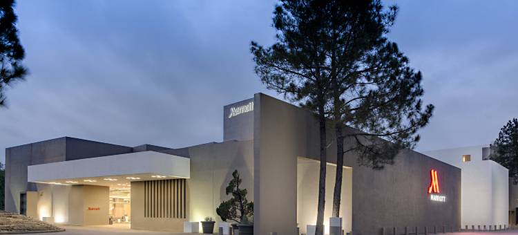 达拉斯-沃斯堡西湖万豪酒店(Marriott Dallas/Fort Worth Westlake)图片